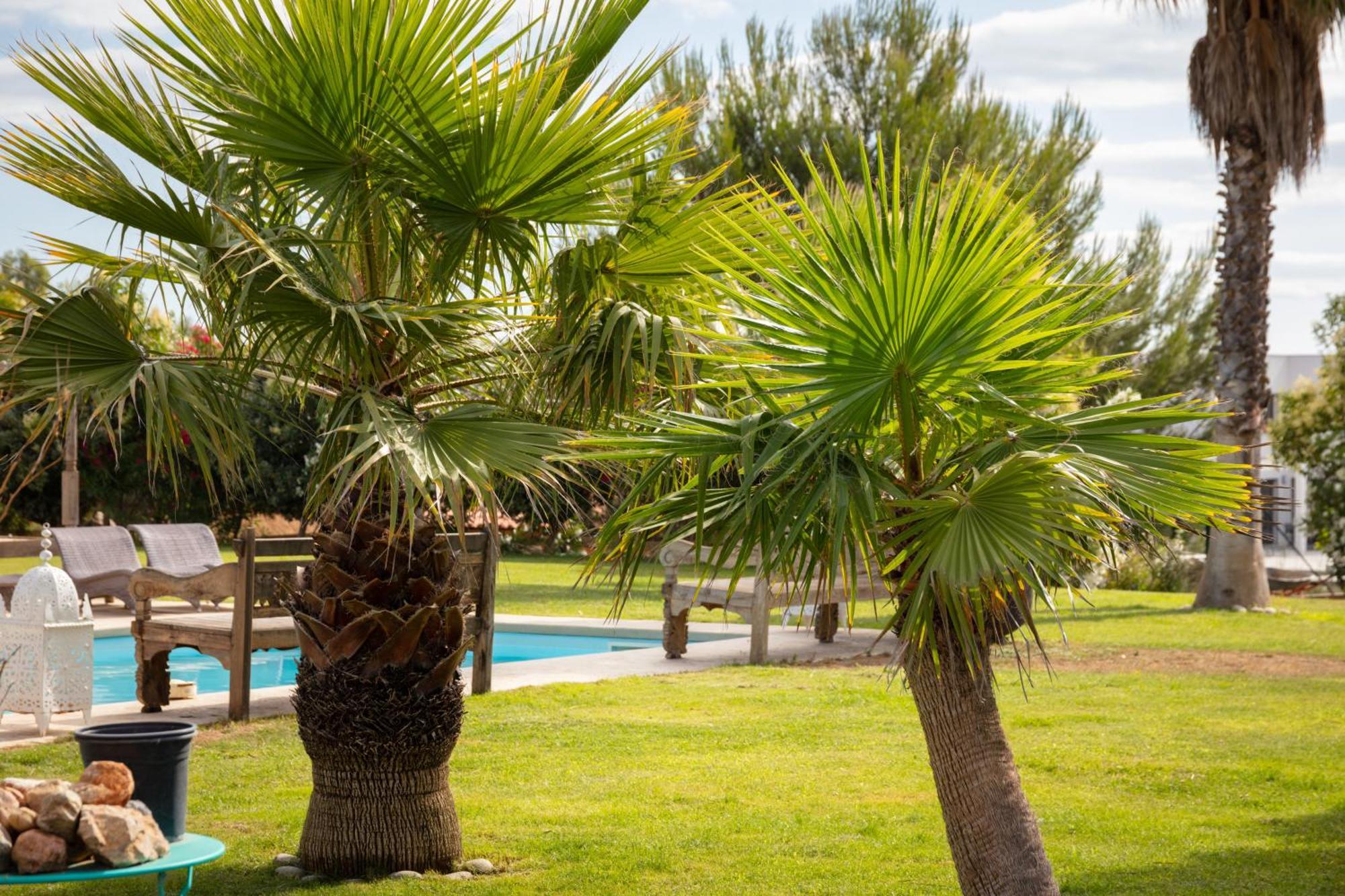 Escapades Lointaines Bed & Breakfast Perpignan Exterior foto